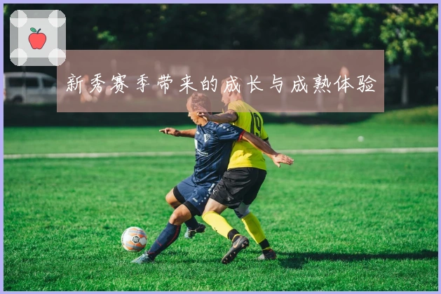 新秀赛季带来的成长与成熟体验