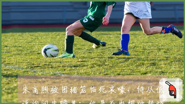 朱高煦被困猪笼临死哀嚎，侍从低语询问朱瞻基：你是否也想被焚烧？