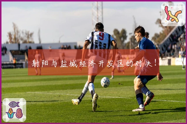 射阳与盐城经济开发区的对决！